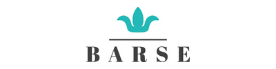 Barse Logo